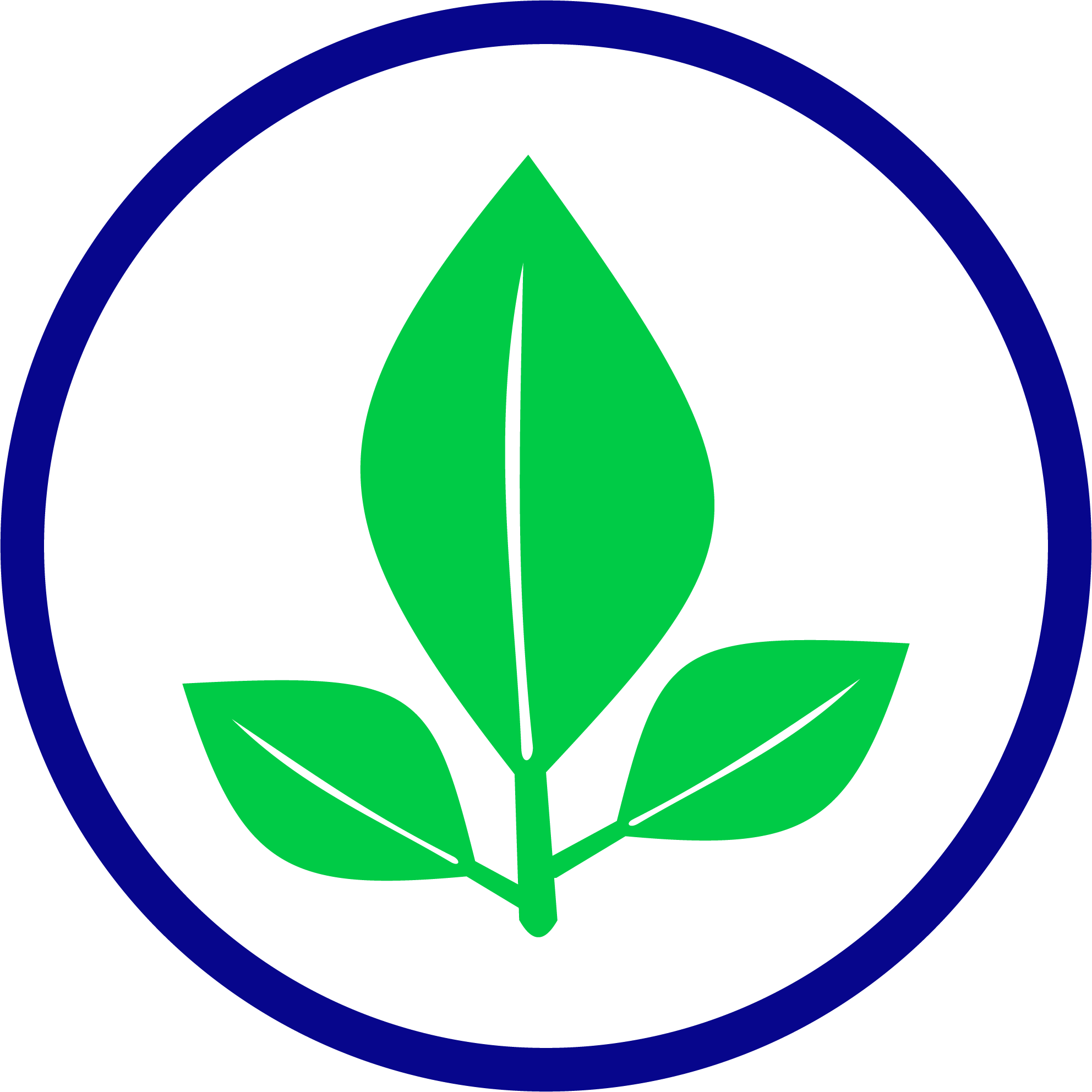 Leaf Carbon